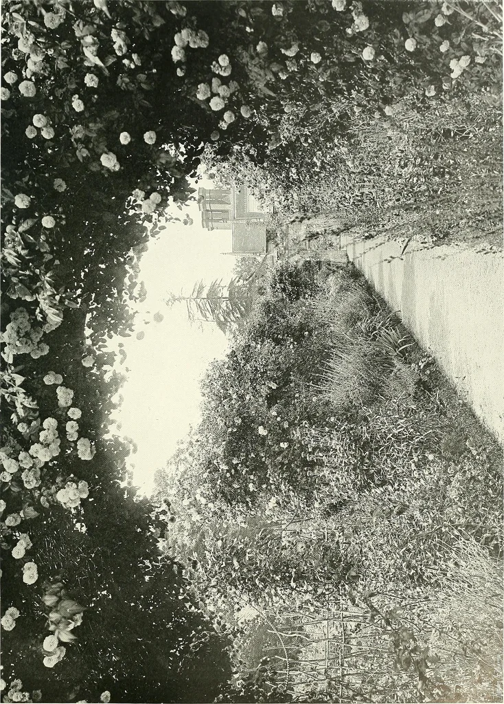 An illustration from Gardens, old and new; the country house & its garden environment, 1900, leaf 42
