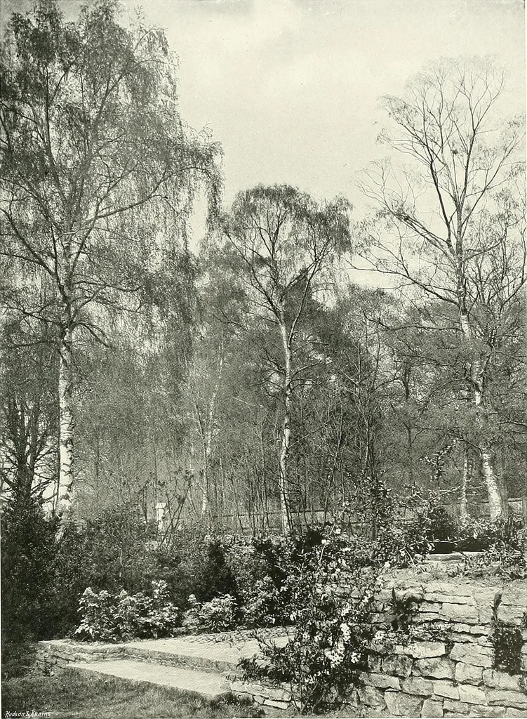 An illustration from Gardens, old and new; the country house & its garden environment, 1900, leaf 92