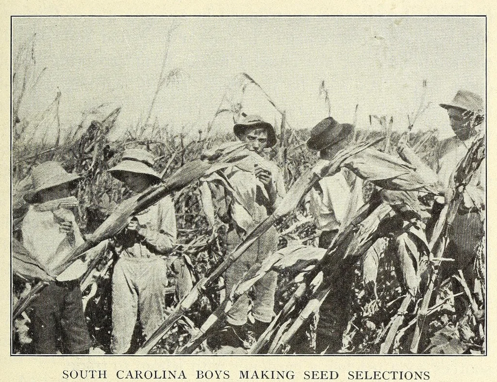 An illustration from Gardens and their meaning, 1911, leaf 103