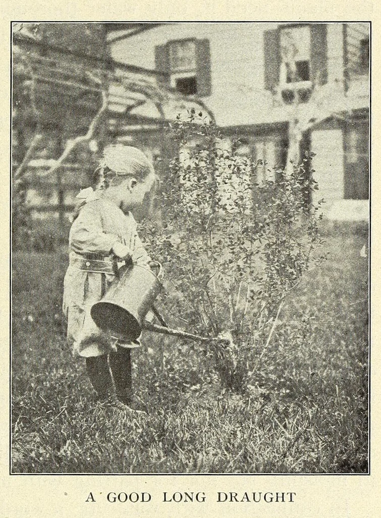 An illustration from Gardens and their meaning, 1911, leaf 119