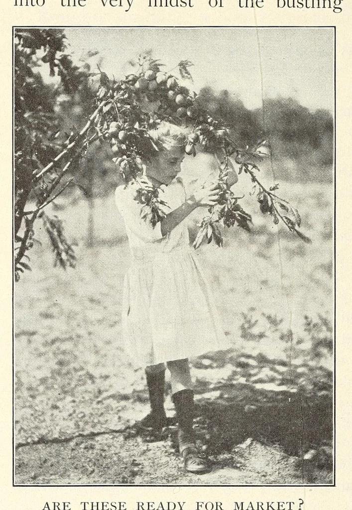An illustration from Gardens and their meaning, 1911, leaf 178