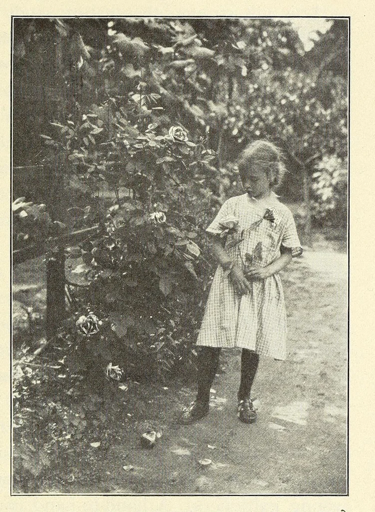 An illustration from Gardens and their meaning, 1911, leaf 187