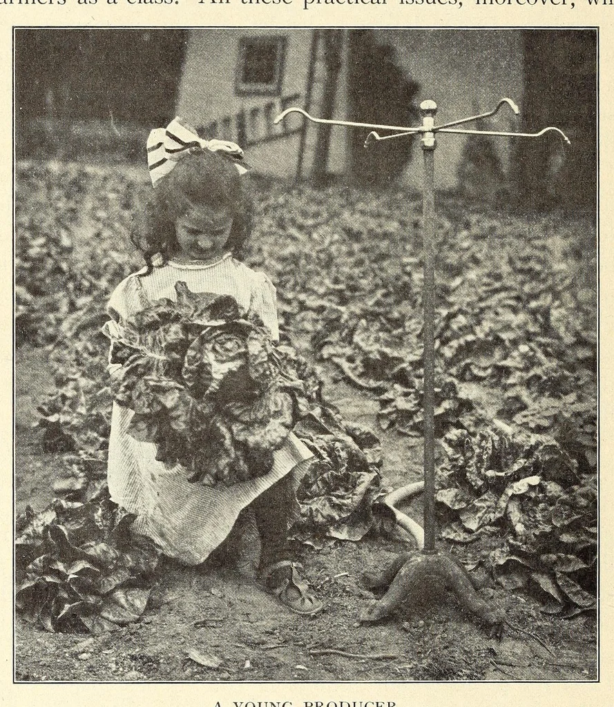 An illustration from Gardens and their meaning, 1911, leaf 20