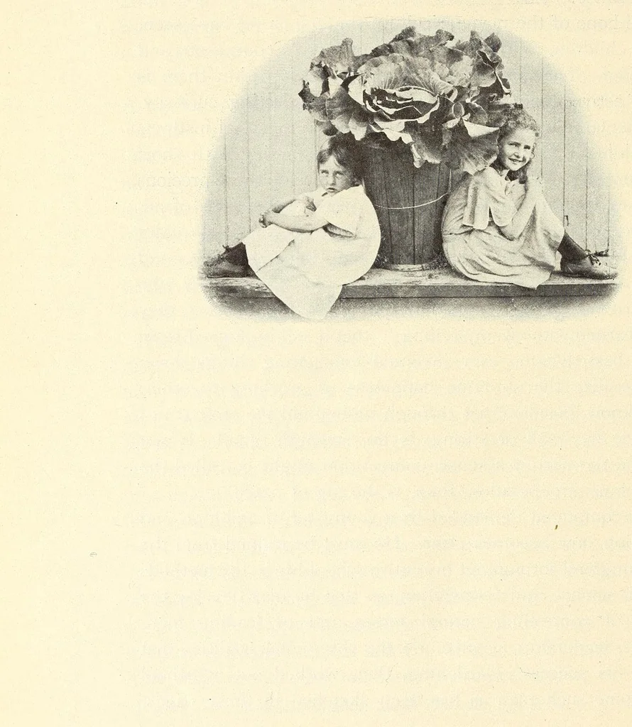 An illustration from Gardens and their meaning, 1911, leaf 230