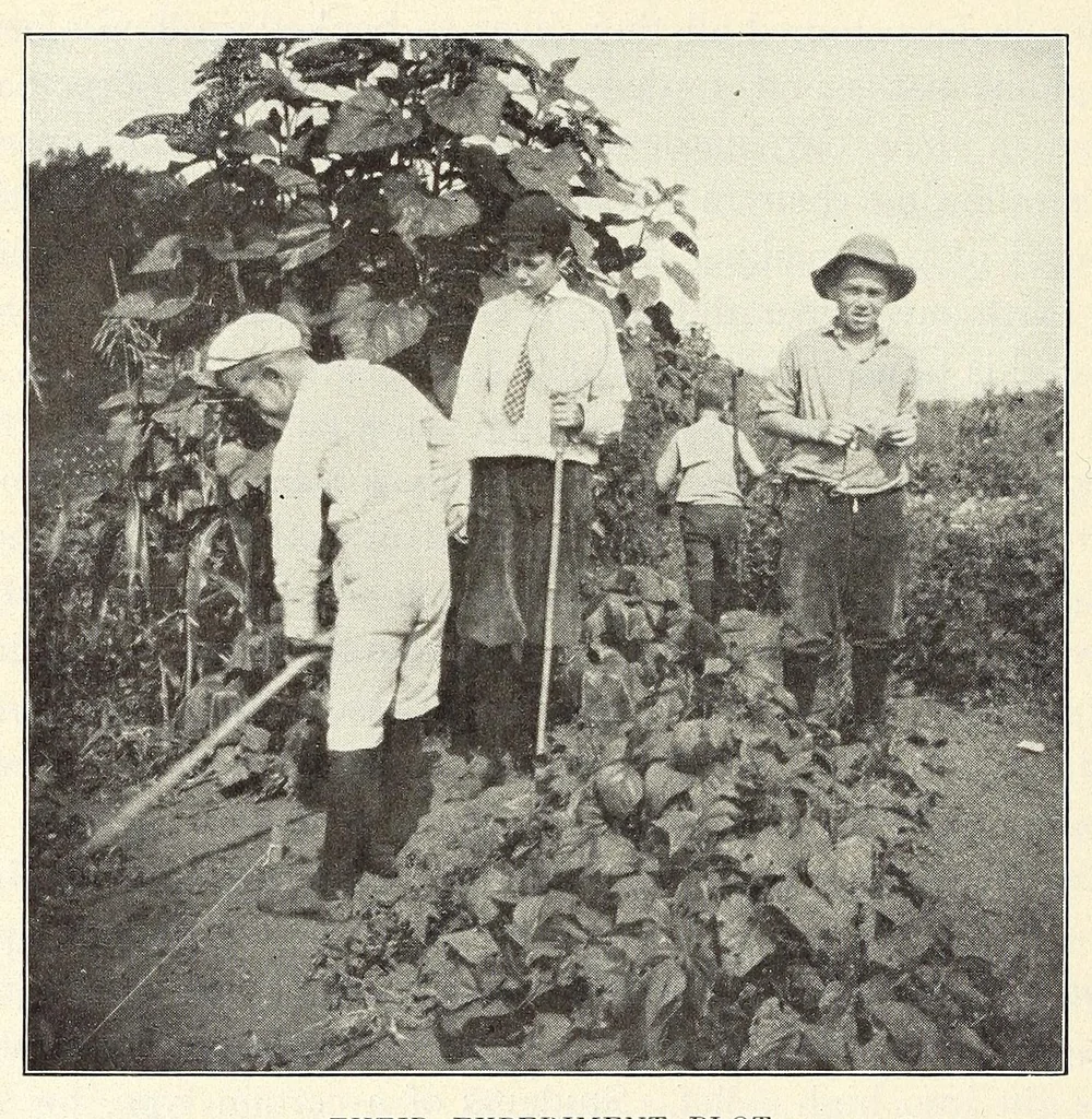 An illustration from Gardens and their meaning, 1911, leaf 88