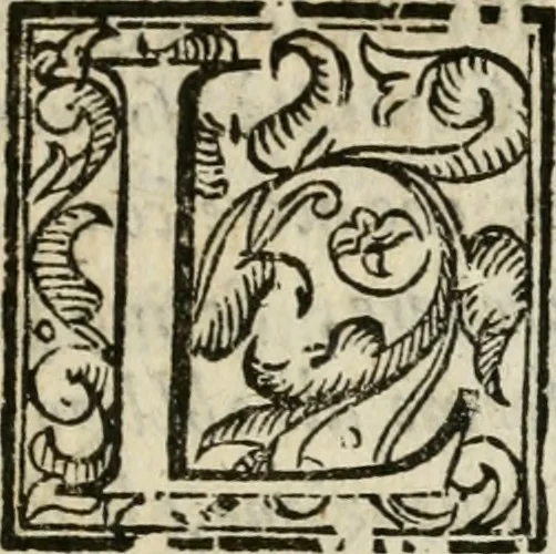 An illustration from Gareggiamento d'Amore e d'Imeneo, rappresentato in Elicona per le nozze delli ser.mi di Piacenza e Parma Odoardo Farnese e Margarita Medici : epitalamio, 1628, leaf 10