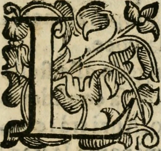 An illustration from Gareggiamento d'Amore e d'Imeneo, rappresentato in Elicona per le nozze delli ser.mi di Piacenza e Parma Odoardo Farnese e Margarita Medici : epitalamio, 1628, leaf 14