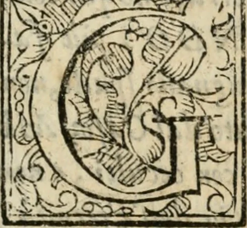 An illustration from Gareggiamento d'Amore e d'Imeneo, rappresentato in Elicona per le nozze delli ser.mi di Piacenza e Parma Odoardo Farnese e Margarita Medici : epitalamio, 1628, leaf 28