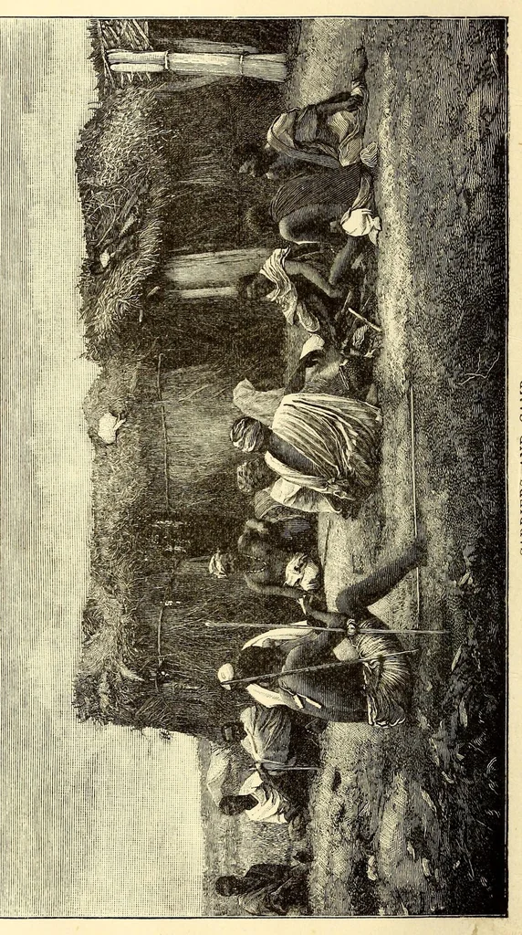 An illustration from Garenganze; or, Seven years' pioneer mission work in central Africa, 1889, leaf 18