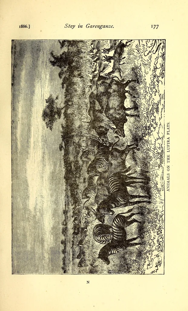 An illustration from Garenganze; or, Seven years' pioneer mission work in central Africa, 1889, leaf 195
