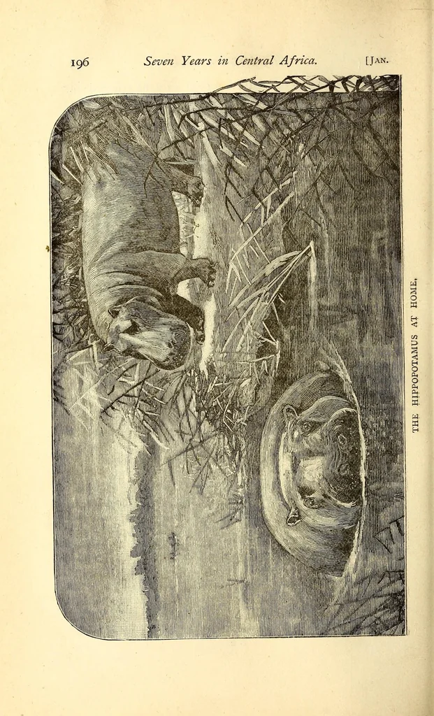 An illustration from Garenganze; or, Seven years' pioneer mission work in central Africa, 1889, leaf 214