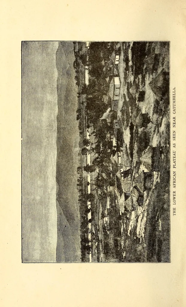 An illustration from Garenganze; or, Seven years' pioneer mission work in central Africa, 1889, leaf 6