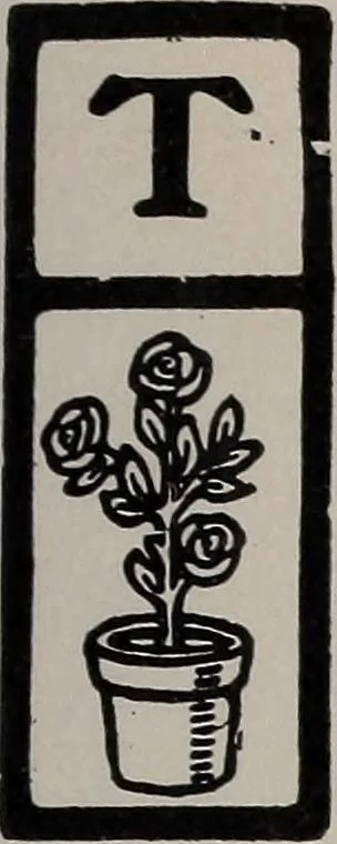 An illustration from The garment buyer's ad. book;, 1904, leaf 10