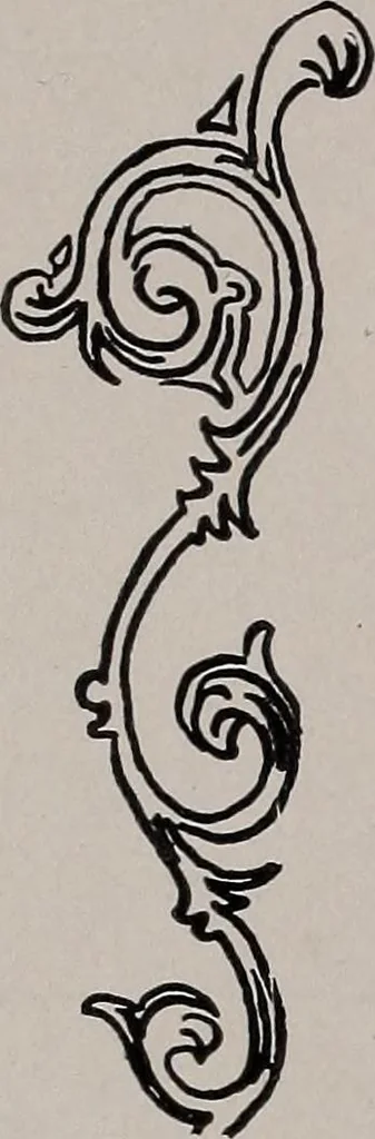 An illustration from The garment buyer's ad. book;, 1904, leaf 101