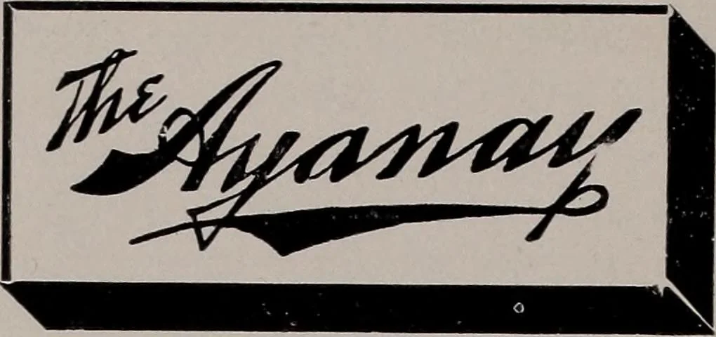 An illustration from The garment buyer's ad. book;, 1904, leaf 105