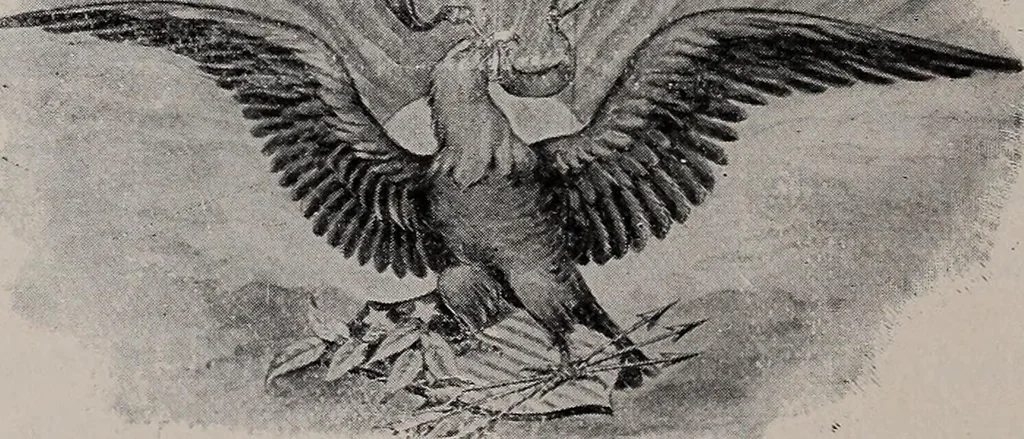 An illustration from The garment buyer's ad. book;, 1904, leaf 129