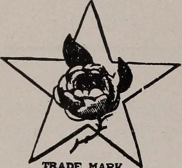 An illustration from The garment buyer's ad. book;, 1904, leaf 153