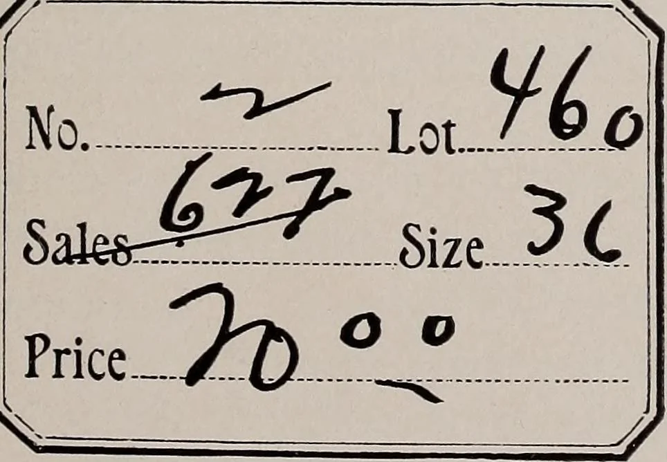 An illustration from The garment buyer's ad. book;, 1904, leaf 160