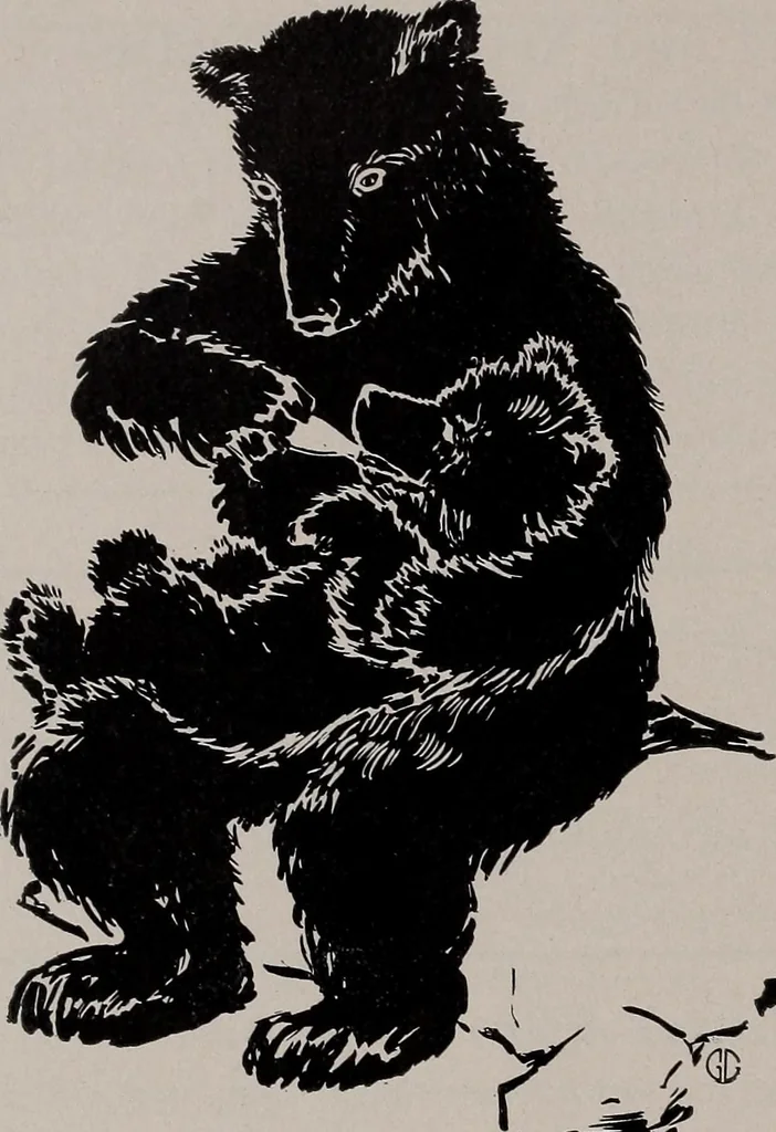 An illustration from The garment buyer's ad. book;, 1904, leaf 91