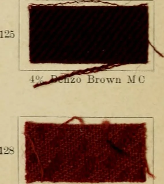 An illustration from Garment dyeing, 1906, leaf 25