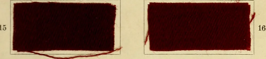 An illustration from Garment dyeing. Cassella Color Company (American branch of Leopold Cassella & Co.), 1910, leaf 15