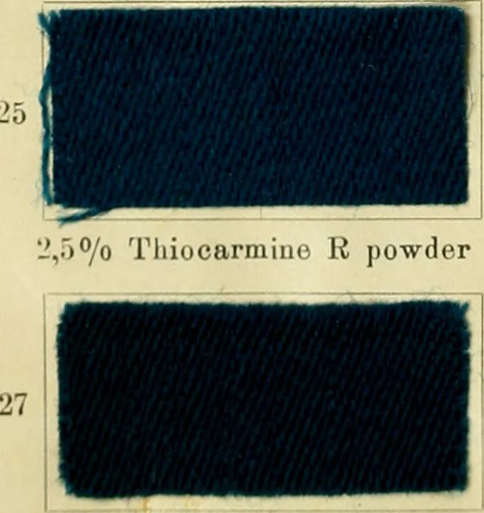 An illustration from Garment dyeing. Cassella Color Company (American branch of Leopold Cassella & Co.), 1910, leaf 16