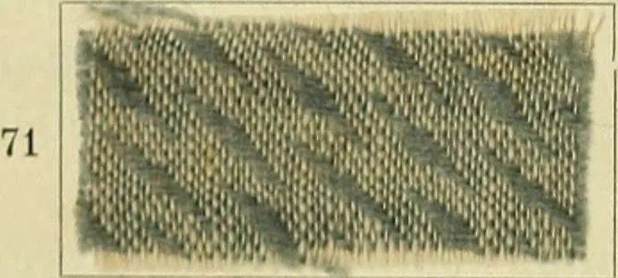 An illustration from Garment dyeing. Cassella Color Company (American branch of Leopold Cassella & Co.), 1910, leaf 24