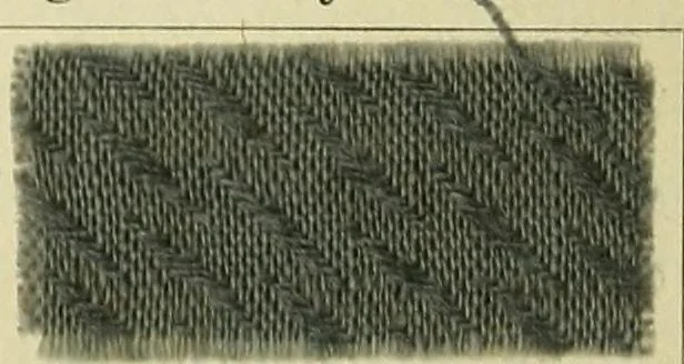 An illustration from Garment dyeing. Cassella Color Company (American branch of Leopold Cassella & Co.), 1910, leaf 24