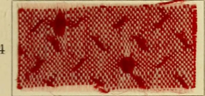 An illustration from Garment dyeing. Cassella Color Company (American branch of Leopold Cassella & Co.), 1910, leaf 25