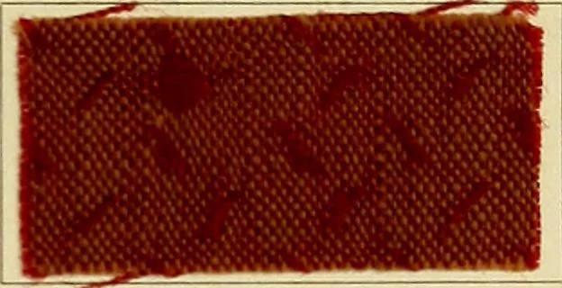 An illustration from Garment dyeing. Cassella Color Company (American branch of Leopold Cassella & Co.), 1910, leaf 25