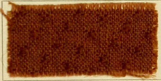 An illustration from Garment dyeing. Cassella Color Company (American branch of Leopold Cassella & Co.), 1910, leaf 33