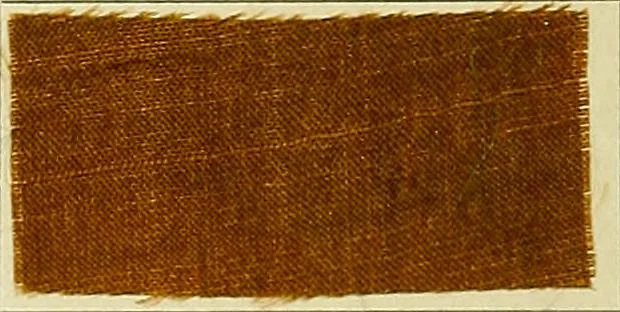 An illustration from Garment dyeing. Cassella Color Company (American branch of Leopold Cassella & Co.), 1910, leaf 42