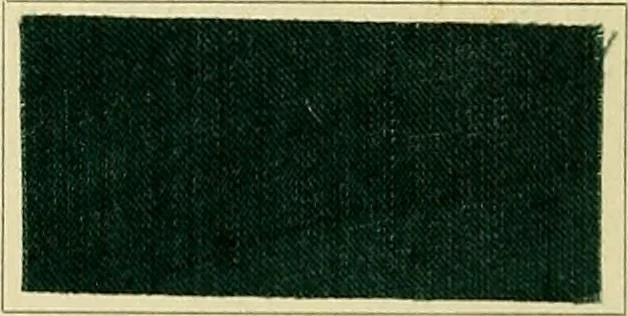 An illustration from Garment dyeing. Cassella Color Company (American branch of Leopold Cassella & Co.), 1910, leaf 46