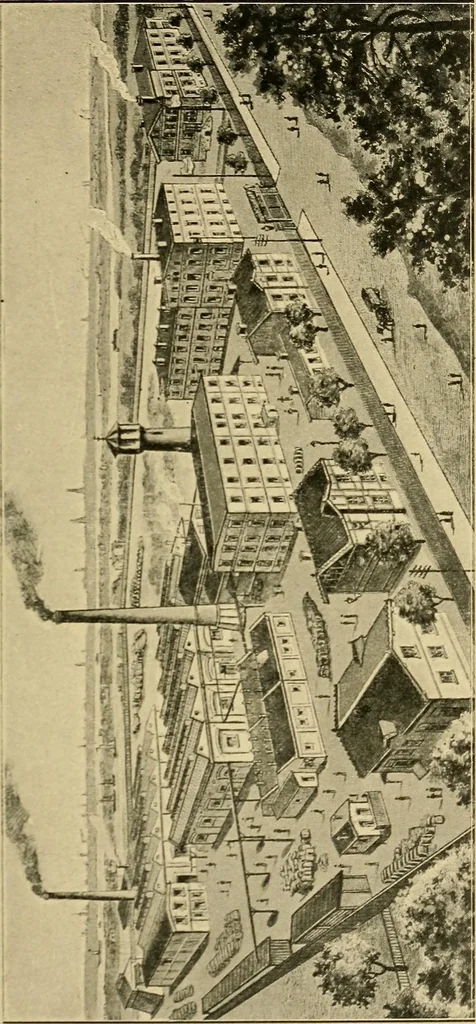 An illustration from Garment dyeing. Cassella Color Company (American branch of Leopold Cassella & Co.), 1910, leaf 5
