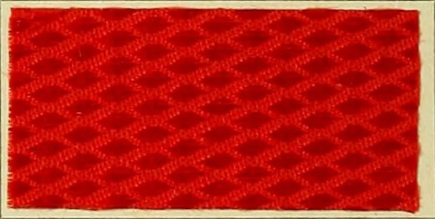 An illustration from Garment dyeing. Cassella Color Company (American branch of Leopold Cassella & Co.), 1910, leaf 50