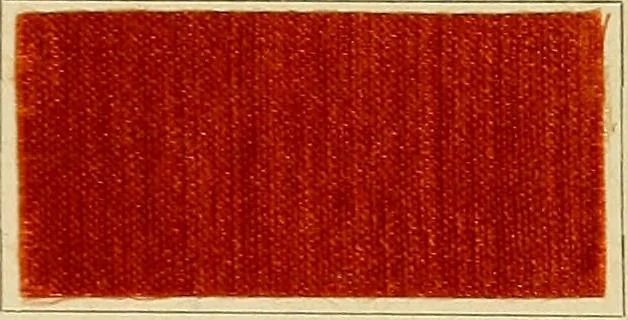 An illustration from Garment dyeing. Cassella Color Company (American branch of Leopold Cassella & Co.), 1910, leaf 51
