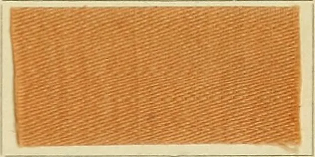 An illustration from Garment dyeing. Cassella Color Company (American branch of Leopold Cassella & Co.), 1910, leaf 59