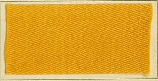 An illustration from Garment dyeing. Cassella Color Company (American branch of Leopold Cassella & Co.), 1910, leaf 61