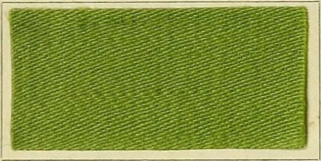 An illustration from Garment dyeing. Cassella Color Company (American branch of Leopold Cassella & Co.), 1910, leaf 62