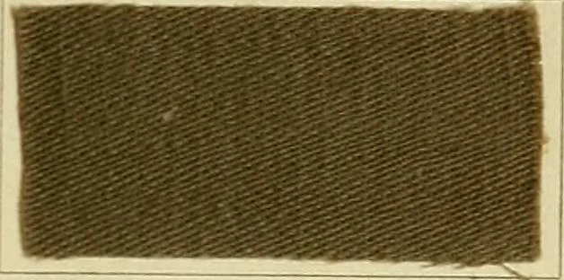 An illustration from Garment dyeing. Cassella Color Company (American branch of Leopold Cassella & Co.), 1910, leaf 63