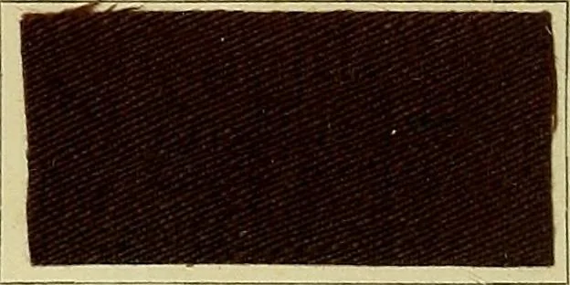 An illustration from Garment dyeing. Cassella Color Company (American branch of Leopold Cassella & Co.), 1910, leaf 64