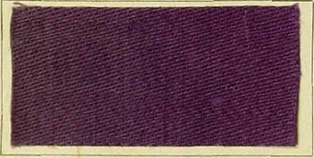 An illustration from Garment dyeing. Cassella Color Company (American branch of Leopold Cassella & Co.), 1910, leaf 64