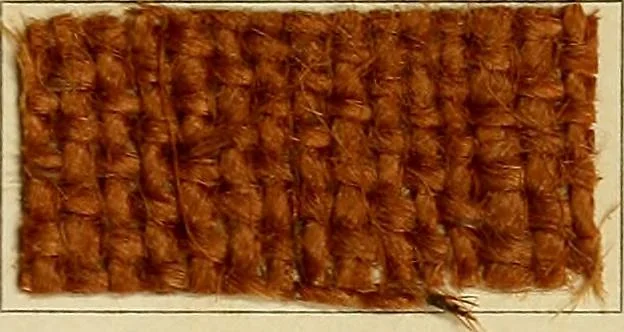 An illustration from Garment dyeing. Cassella Color Company (American branch of Leopold Cassella & Co.), 1910, leaf 71