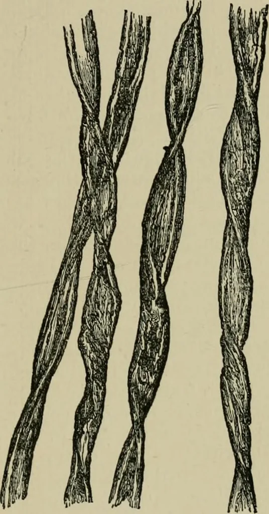 An illustration from Garment dyeing and cleaning : a practical book for practical men, 1901, leaf 13