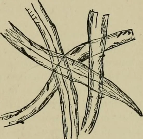 An illustration from Garment dyeing and cleaning : a practical book for practical men, 1901, leaf 19