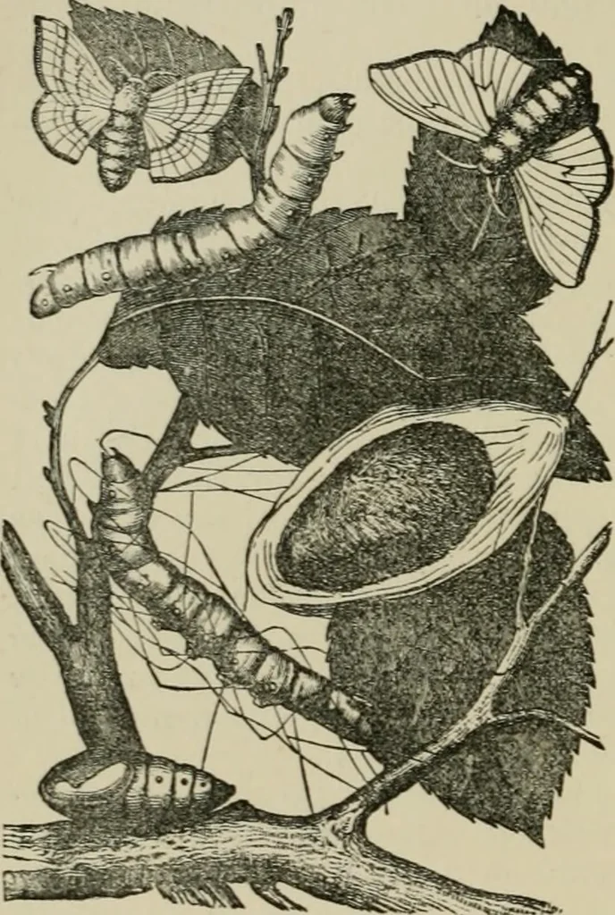An illustration from Garment dyeing and cleaning : a practical book for practical men, 1901, leaf 28
