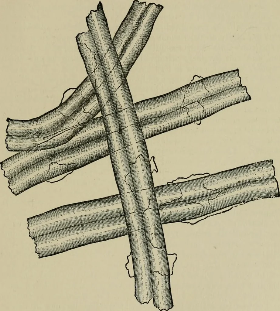 An illustration from Garment dyeing and cleaning : a practical book for practical men, 1901, leaf 29