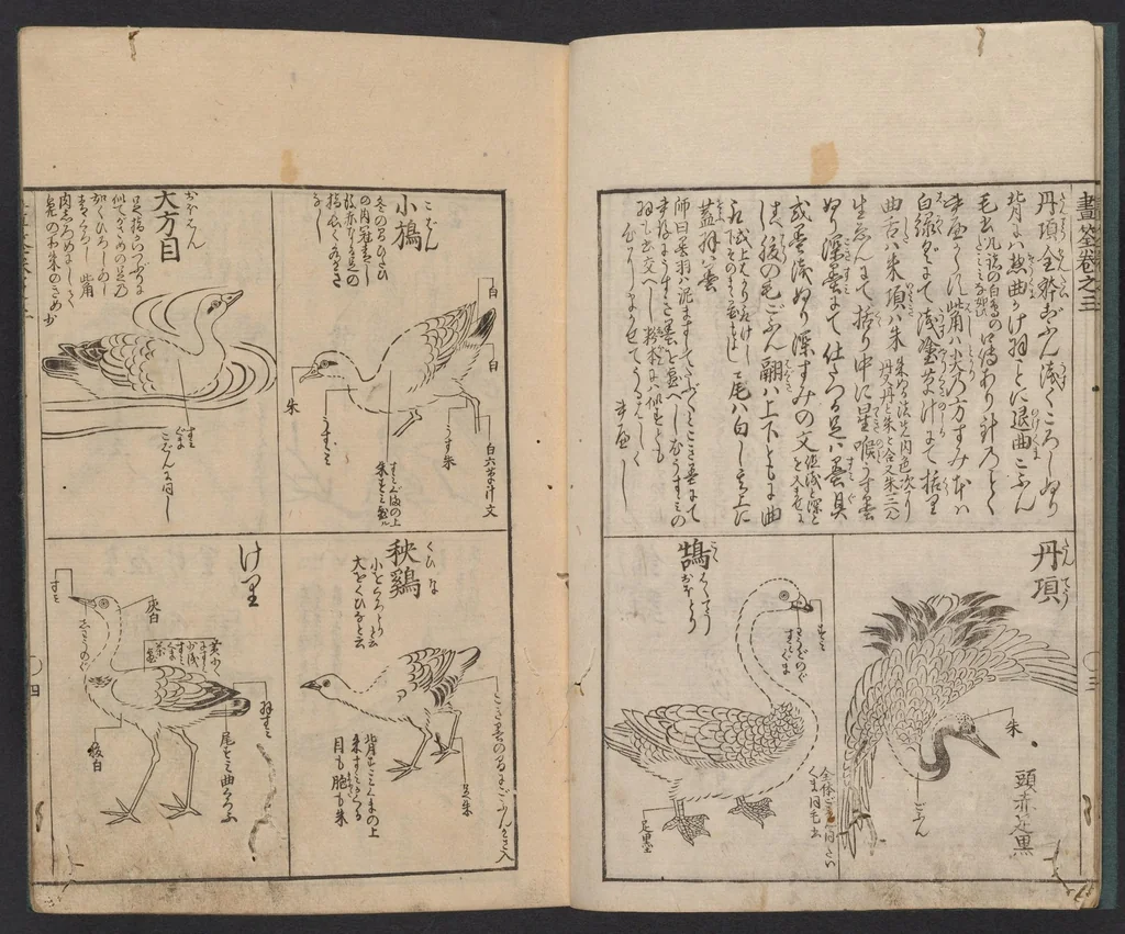 An illustration from Gasen. Kan no san, Chōjū, 1721, leaf 6