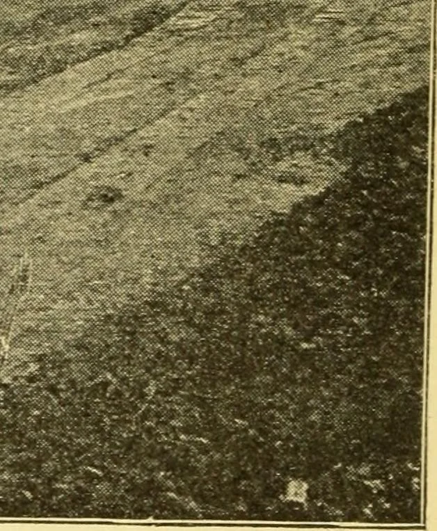 An illustration from The gasoline engine on the farm; a practical, comprehensive treatise on the construction, repair, management and use of this great farm power as applied to all farm machinery and farmer's work indoors and out .., 1913, leaf 290