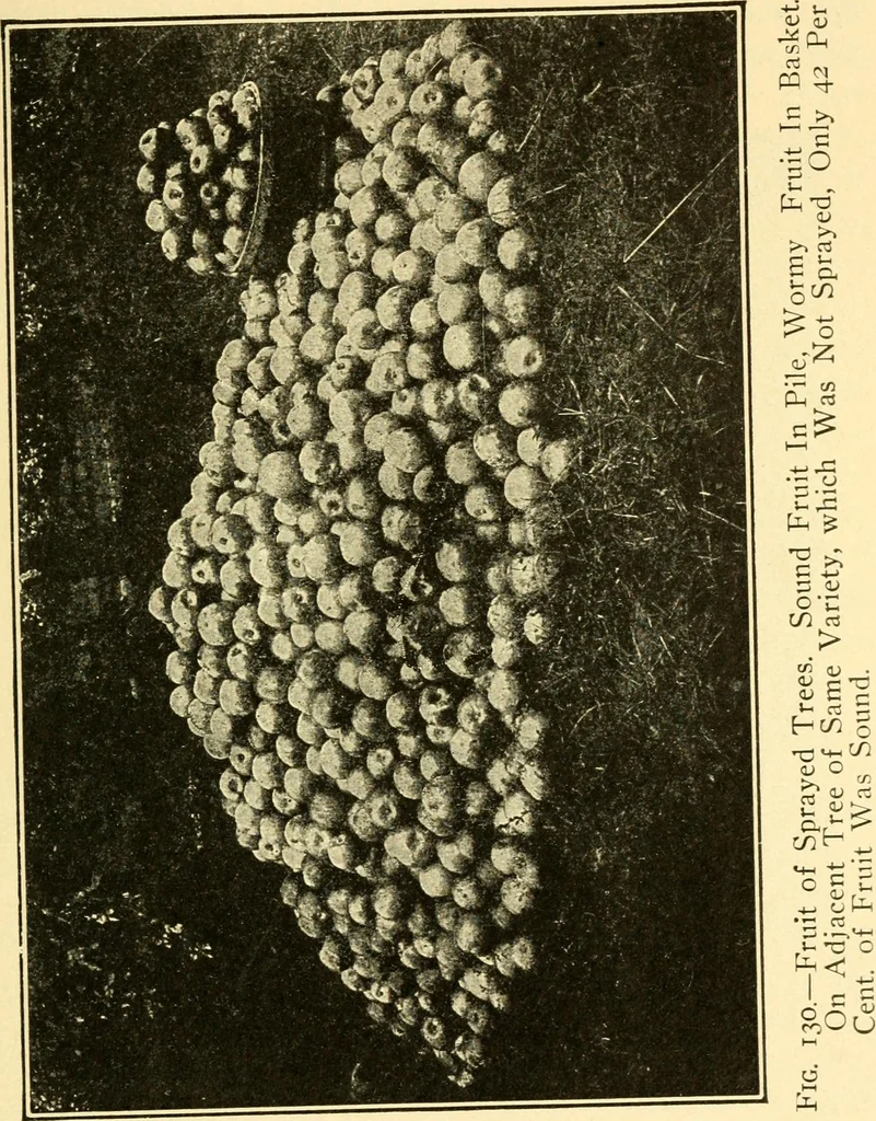 An illustration from The gasoline engine on the farm; a practical, comprehensive treatise on the construction, repair, management and use of this great farm power as applied to all farm machinery and farmer's work indoors and out .., 1913, leaf 391